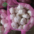 2018 chinese hot sale pure white garlic price